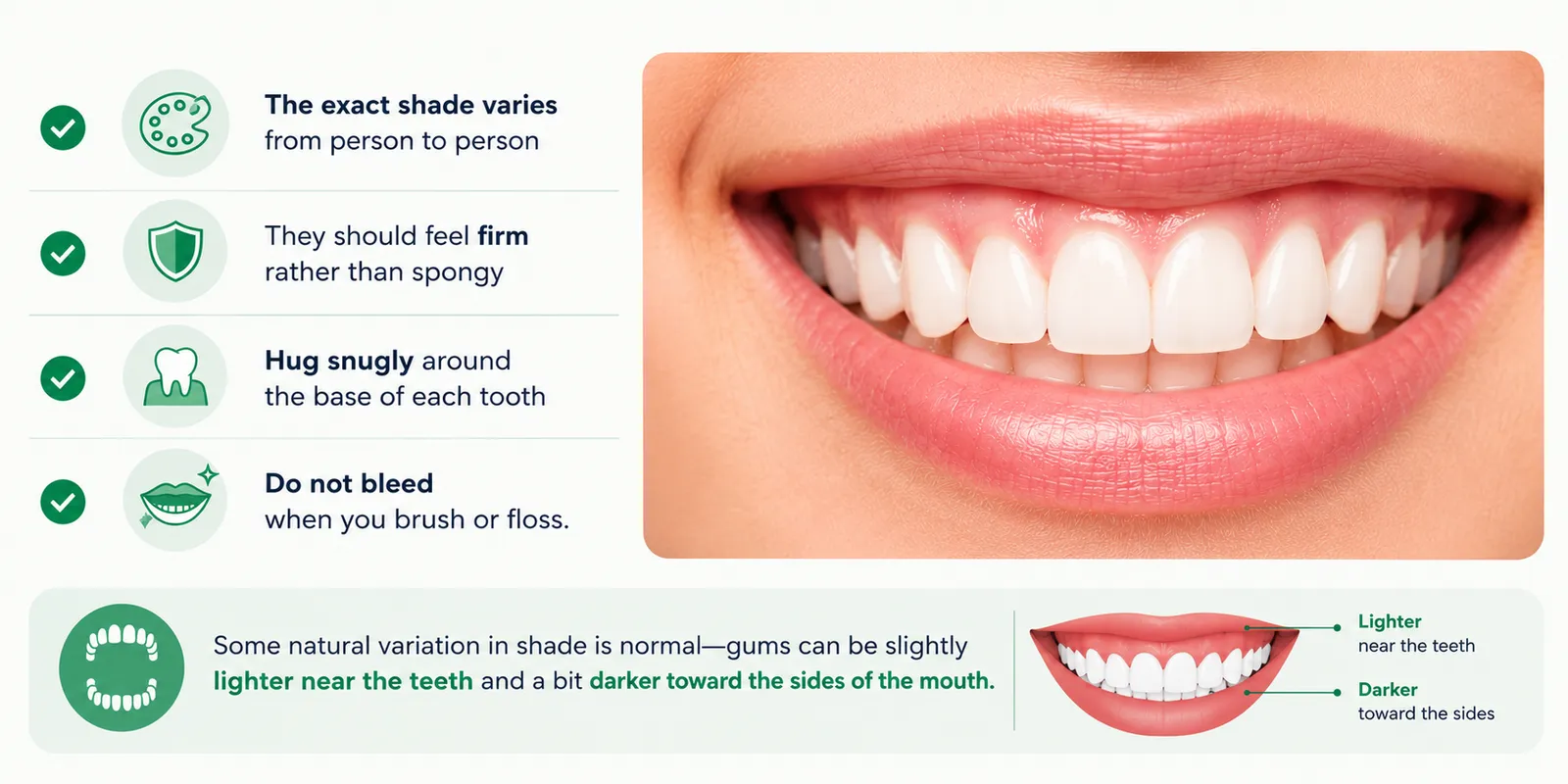 Educational dental infographic illustrating the characteristics of healthy gums